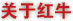 关于红牛